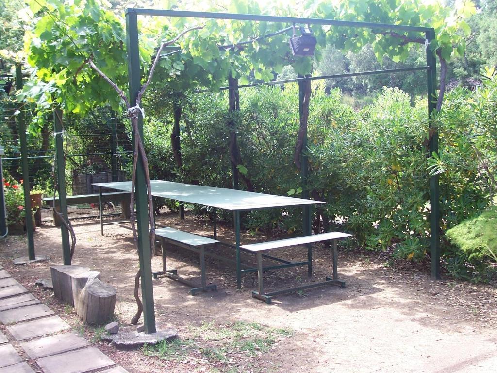 צ'פאלו B&B Arcobaleno מראה חיצוני תמונה