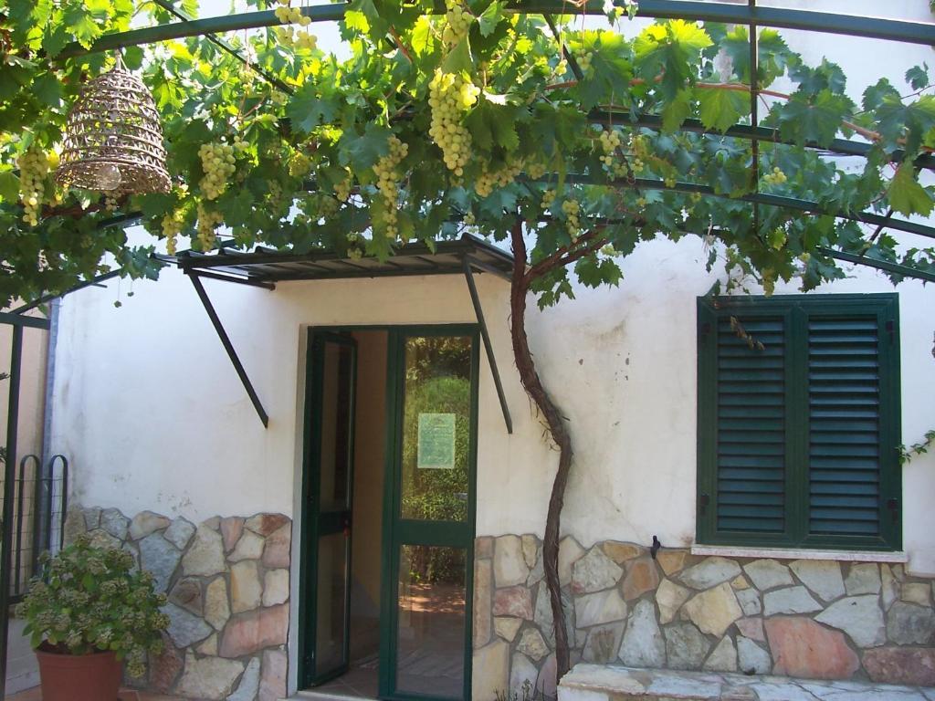 צ'פאלו B&B Arcobaleno מראה חיצוני תמונה
